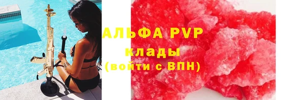 индика Абаза