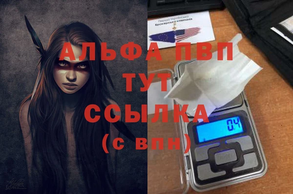 гидра Алзамай