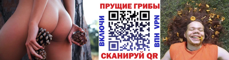 Псилоцибиновые грибы GOLDEN TEACHER  Снежногорск 